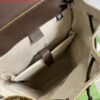 Replica Adidas x Gucci backpack ‎495563 Beige and brown
