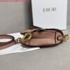 Replica Dior S5685 Micro Saddle Bag With Strap Scarlet Nude Goatskin