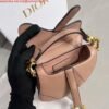 Replica Dior S5685 Micro Saddle Bag With Strap Scarlet Nude Goatskin
