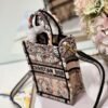 Replica Dior S5555 Mini Dior Book Tote Phone Bag Nude multicolor embroidery S1104