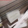 Replica Dior M0455 Saddle Bag With Strap Nude Grained Calfskin
