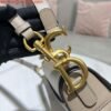 Replica Dior M0455 Saddle Bag With Strap Light Gray Grained Calfskin