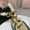 Replica Dior M0455 Saddle Bag With Strap Apricot Grained Calfskin
