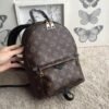 m41560-1.jpg Replica Louis Vuitton Palm Springs Backpack PM M41560 BLV002