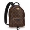m41560.jpg Replica Louis Vuitton Palm Springs Backpack PM M41560 BLV002