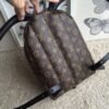 m41560-2.jpg Replica Louis Vuitton Palm Springs Backpack PM M41560 BLV002