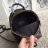 Replica Louis Vuitton Palm Springs Mini Backpack M41562 BLV017