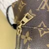 m44873-5.jpg Replica Louis Vuitton Mini Palm Springs Backpack M44873 BLV008
