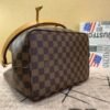 Replica Louis Vuitton Neonoe Bag Damier Ebene N40213 BLV101