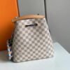 Replica Louis Vuitton Damier Azur NeoNoe MM With Braided Strap N50042 BLV044